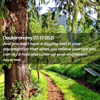 Picture 02 - Deuteronomy 23:13 BSB - And you must have a digging tool in your - Bible Verse Picture