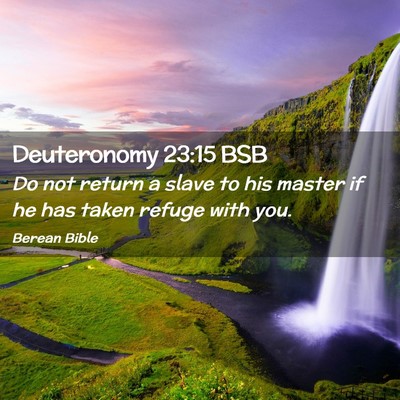 Picture 02 - Deuteronomy 23:15 BSB - Do not return a slave to his master if he has - Bible Verse Picture