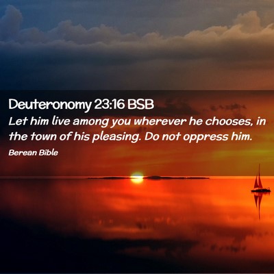 Picture 02 - Deuteronomy 23:16 BSB - Let him live among you wherever he chooses, in - Bible Verse Picture