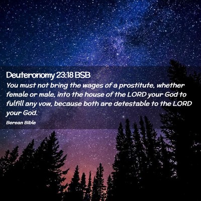 Picture 02 - Deuteronomy 23:18 BSB - You must not bring the wages of a prostitute, - Bible Verse Picture