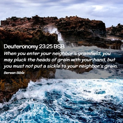 Picture 02 - Deuteronomy 23:25 BSB - When you enter your neighbor’s grainfield, you - Bible Verse Picture