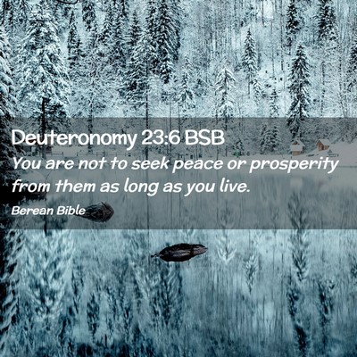 Picture 02 - Deuteronomy 23:6 BSB - You are not to seek peace or prosperity from them - Bible Verse Picture