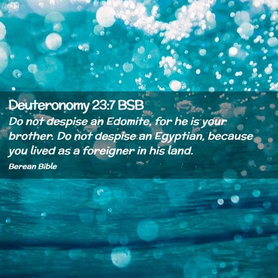 Picture 02 - Deuteronomy 23:7 BSB - Do not despise an Edomite, for he is your - Bible Verse Picture