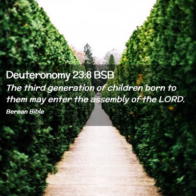 Picture 02 - Deuteronomy 23:8 BSB - The third generation of children born to them may - Bible Verse Picture