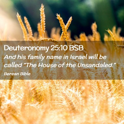 Picture 02 - Deuteronomy 25:10 BSB - And his family name in Israel will be called - Bible Verse Picture