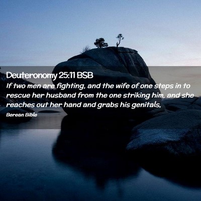 Picture 02 - Deuteronomy 25:11 BSB - If two men are fighting, and the wife of one - Bible Verse Picture