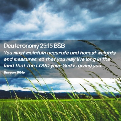 Picture 02 - Deuteronomy 25:15 BSB - You must maintain accurate and honest weights and - Bible Verse Picture