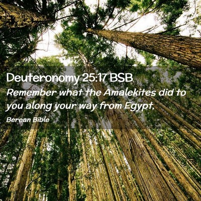 Picture 02 - Deuteronomy 25:17 BSB - Remember what the Amalekites did to you along - Bible Verse Picture