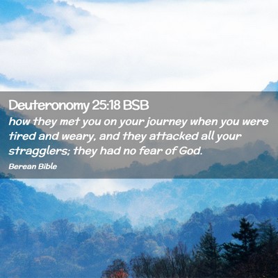 Picture 02 - Deuteronomy 25:18 BSB - how they met you on your journey when you were - Bible Verse Picture