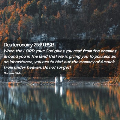Picture 02 - Deuteronomy 25:19 BSB - When the LORD your God gives you rest from the - Bible Verse Picture