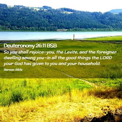 Picture 02 - Deuteronomy 26:11 BSB - So you shall rejoice—you, the Levite, and the - Bible Verse Picture