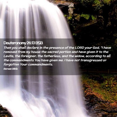 Picture 02 - Deuteronomy 26:13 BSB - Then you shall declare in the presence of the - Bible Verse Picture