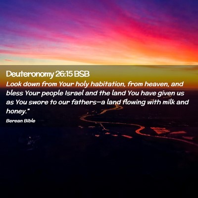 Picture 02 - Deuteronomy 26:15 BSB - Look down from Your holy habitation, from heaven, - Bible Verse Picture