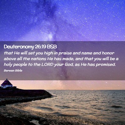 Picture 02 - Deuteronomy 26:19 BSB - that He will set you high in praise and name and - Bible Verse Picture