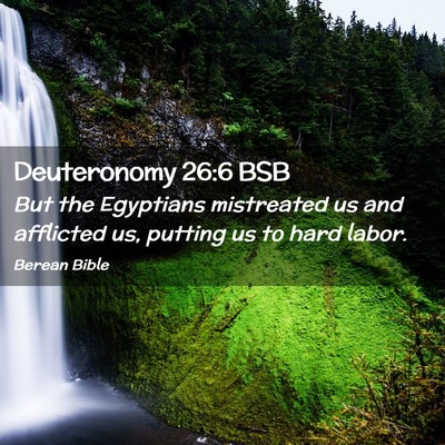 Picture 02 - Deuteronomy 26:6 BSB - But the Egyptians mistreated us and afflicted us, - Bible Verse Picture