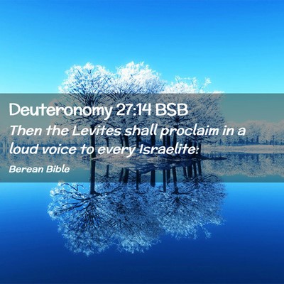 Picture 02 - Deuteronomy 27:14 BSB - Then the Levites shall proclaim in a loud voice - Bible Verse Picture