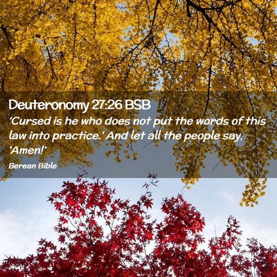 Picture 02 - Deuteronomy 27:26 BSB - ‘Cursed is he who does not put the words of - Bible Verse Picture
