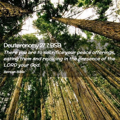 Picture 02 - Deuteronomy 27:7 BSB - There you are to sacrifice your peace offerings, - Bible Verse Picture