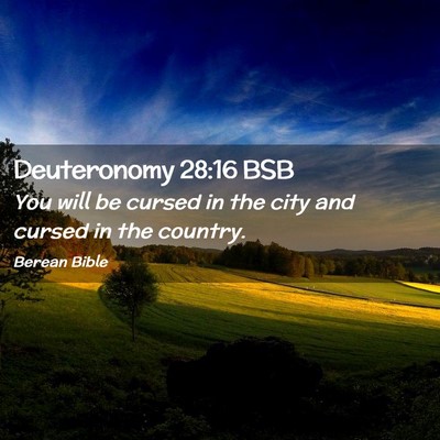 Picture 02 - Deuteronomy 28:16 BSB - You will be cursed in the city and cursed in the - Bible Verse Picture