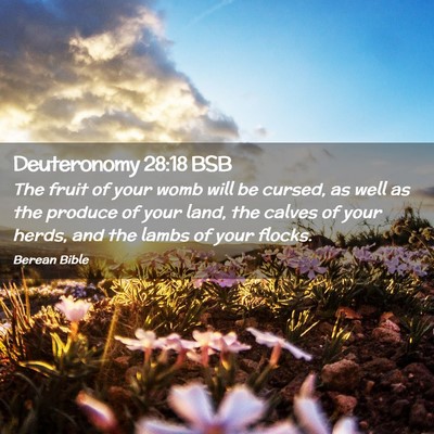 Picture 02 - Deuteronomy 28:18 BSB - The fruit of your womb will be cursed, as well as - Bible Verse Picture