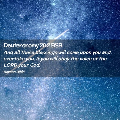 Picture 02 - Deuteronomy 28:2 BSB - And all these blessings will come upon you and - Bible Verse Picture