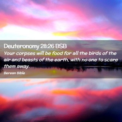 Picture 02 - Deuteronomy 28:26 BSB - Your corpses will be food for all the birds of - Bible Verse Picture