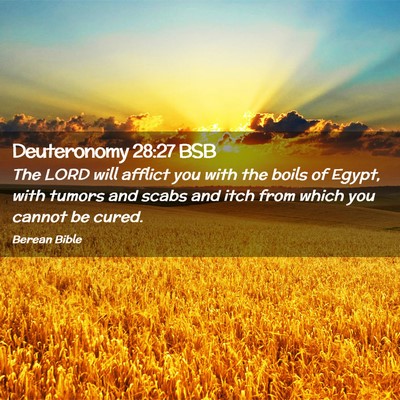 Picture 02 - Deuteronomy 28:27 BSB - The LORD will afflict you with the boils of - Bible Verse Picture