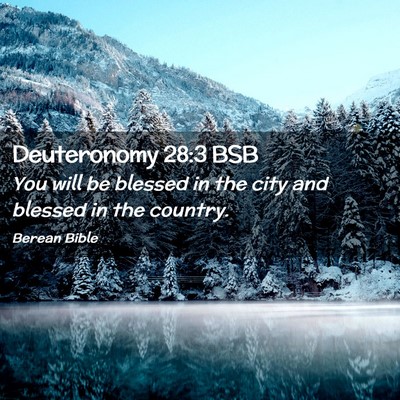 Picture 02 - Deuteronomy 28:3 BSB - You will be blessed in the city and blessed in - Bible Verse Picture