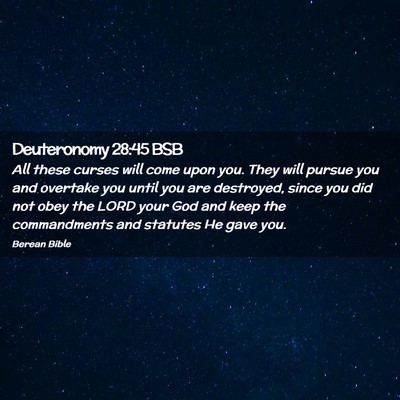 Picture 02 - Deuteronomy 28:45 BSB - All these curses will come upon you. They will - Bible Verse Picture