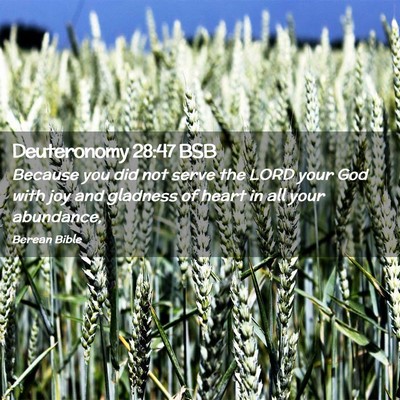 Picture 02 - Deuteronomy 28:47 BSB - Because you did not serve the LORD your God with - Bible Verse Picture