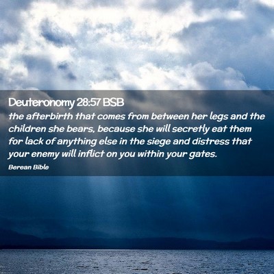 Picture 02 - Deuteronomy 28:57 BSB - the afterbirth that comes from between her legs - Bible Verse Picture