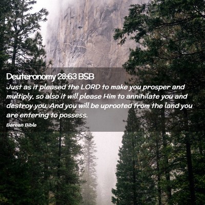 Picture 02 - Deuteronomy 28:63 BSB - Just as it pleased the LORD to make you prosper - Bible Verse Picture