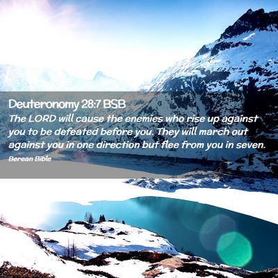 Picture 02 - Deuteronomy 28:7 BSB - The LORD will cause the enemies who rise up - Bible Verse Picture