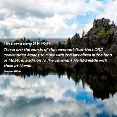 Picture 02 - Deuteronomy 29:1 BSB - These are the words of the covenant that the LORD - Bible Verse Picture