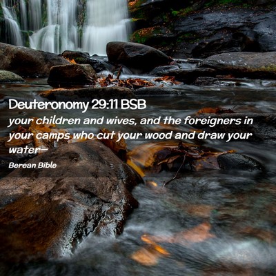 Picture 02 - Deuteronomy 29:11 BSB - your children and wives, and the foreigners in - Bible Verse Picture