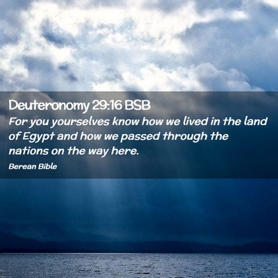 Picture 02 - Deuteronomy 29:16 BSB - For you yourselves know how we lived in the land - Bible Verse Picture