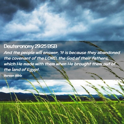 Picture 02 - Deuteronomy 29:25 BSB - And the people will answer, ‘It is because they - Bible Verse Picture