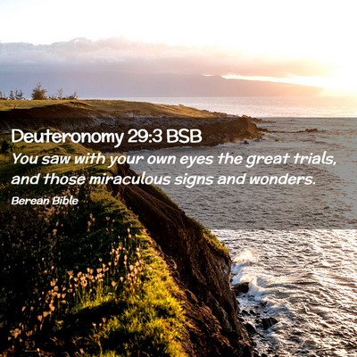 Picture 02 - Deuteronomy 29:3 BSB - You saw with your own eyes the great trials, and - Bible Verse Picture
