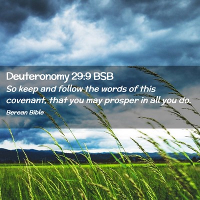 Picture 02 - Deuteronomy 29:9 BSB - So keep and follow the words of this covenant, - Bible Verse Picture