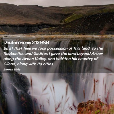 Picture 02 - Deuteronomy 3:12 BSB - So at that time we took possession of this land. - Bible Verse Picture