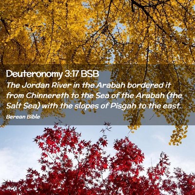 Picture 02 - Deuteronomy 3:17 BSB - The Jordan River in the Arabah bordered it from - Bible Verse Picture