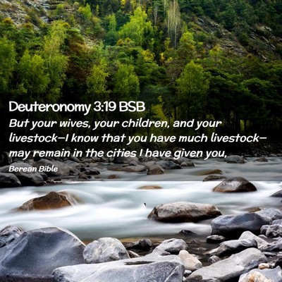 Picture 02 - Deuteronomy 3:19 BSB - But your wives, your children, and your - Bible Verse Picture