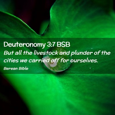 Picture 02 - Deuteronomy 3:7 BSB - But all the livestock and plunder of the cities - Bible Verse Picture