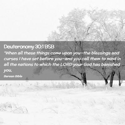 Picture 02 - Deuteronomy 30:1 BSB - “When all these things come upon you—the - Bible Verse Picture