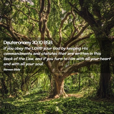 Picture 02 - Deuteronomy 30:10 BSB - if you obey the LORD your God by keeping His - Bible Verse Picture