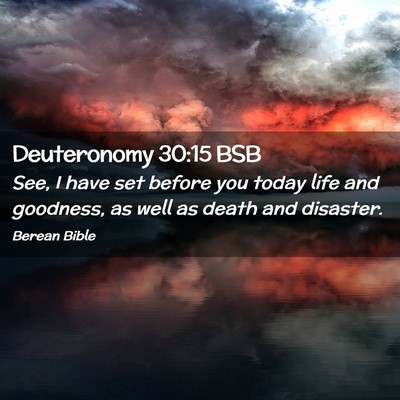 Picture 02 - Deuteronomy 30:15 BSB - See, I have set before you today life and - Bible Verse Picture