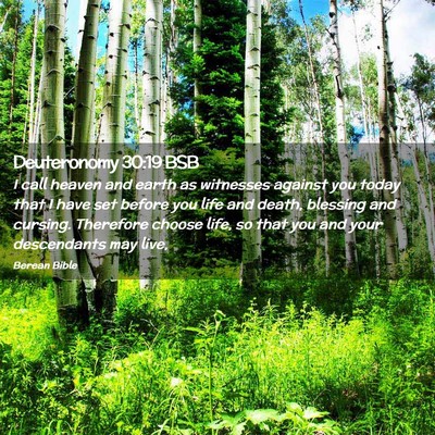 Picture 02 - Deuteronomy 30:19 BSB - I call heaven and earth as witnesses against you - Bible Verse Picture