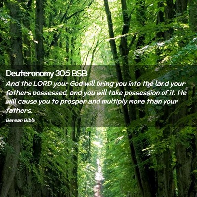 Picture 02 - Deuteronomy 30:5 BSB - And the LORD your God will bring you into the - Bible Verse Picture