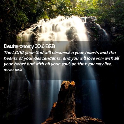 Picture 02 - Deuteronomy 30:6 BSB - The LORD your God will circumcise your hearts and - Bible Verse Picture