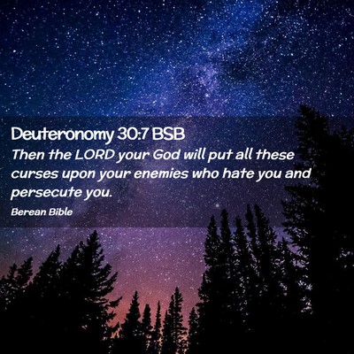 Picture 02 - Deuteronomy 30:7 BSB - Then the LORD your God will put all these curses - Bible Verse Picture
